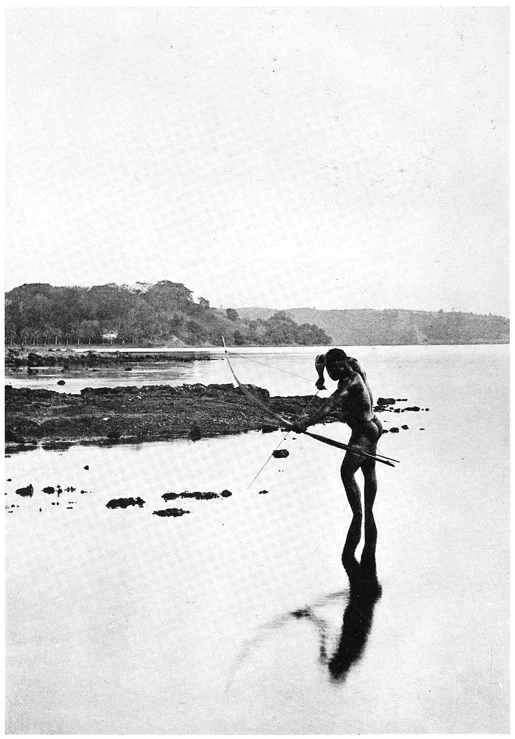 An Andaman Islander shooting fish with bow and arrow on the reefs at Port Blair