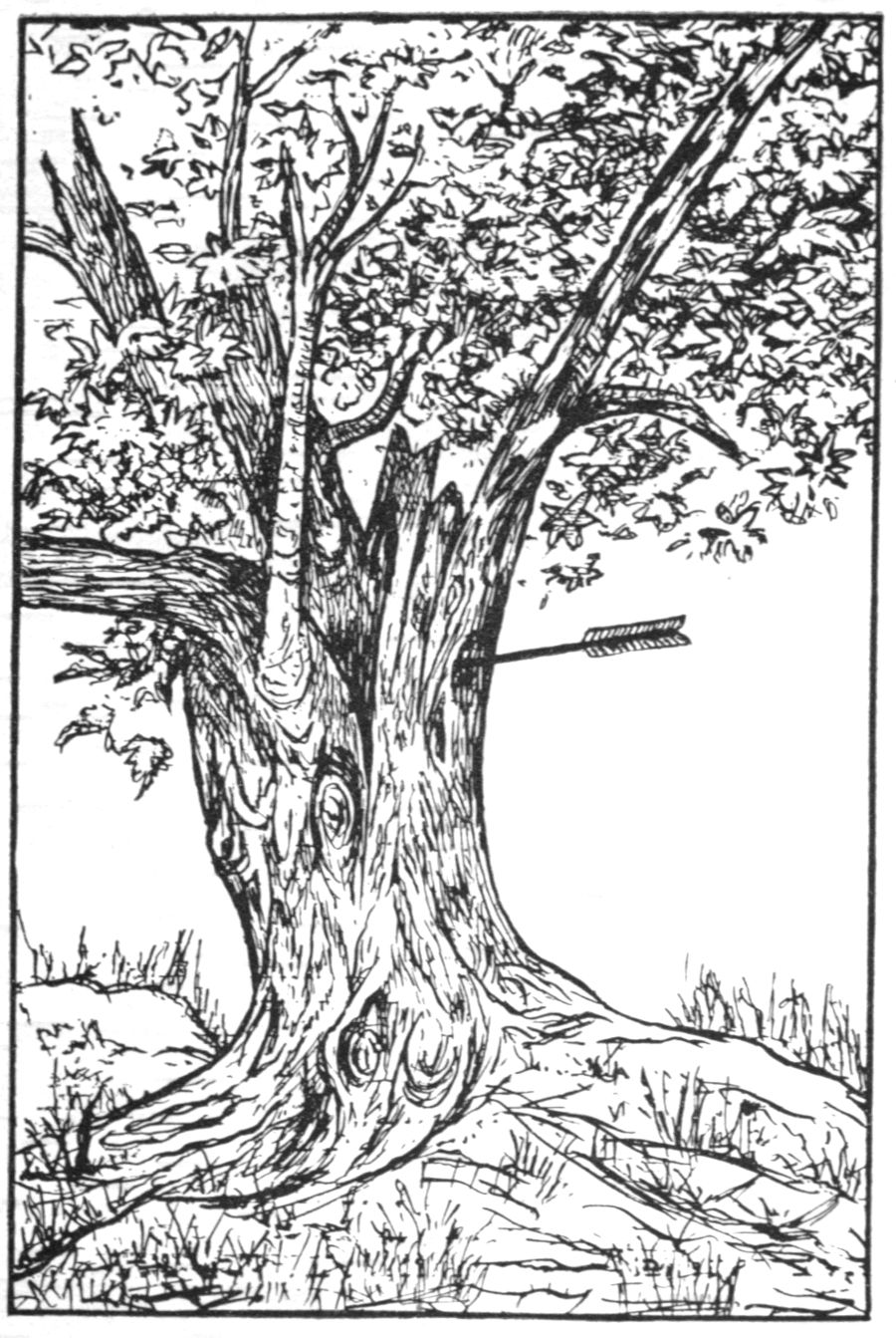 Sketch of a mature tree, fully leafed out. Its root system covers the width of the ground from which it grows. Below the branches, the shaft of an arrow penetrates the right side trunk of the tree.