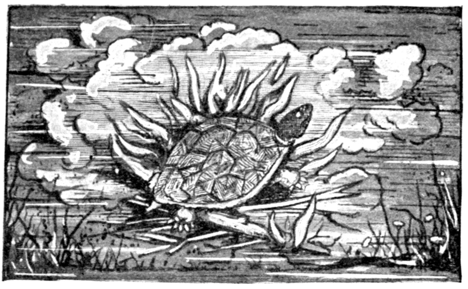 Black and white half-tone sketch of a turtle. Grass and flowers line the bottom of the sketch. The turtle sits on top of a pile of twigs in the center. Flames and clouds emminate outwards from the turtle.