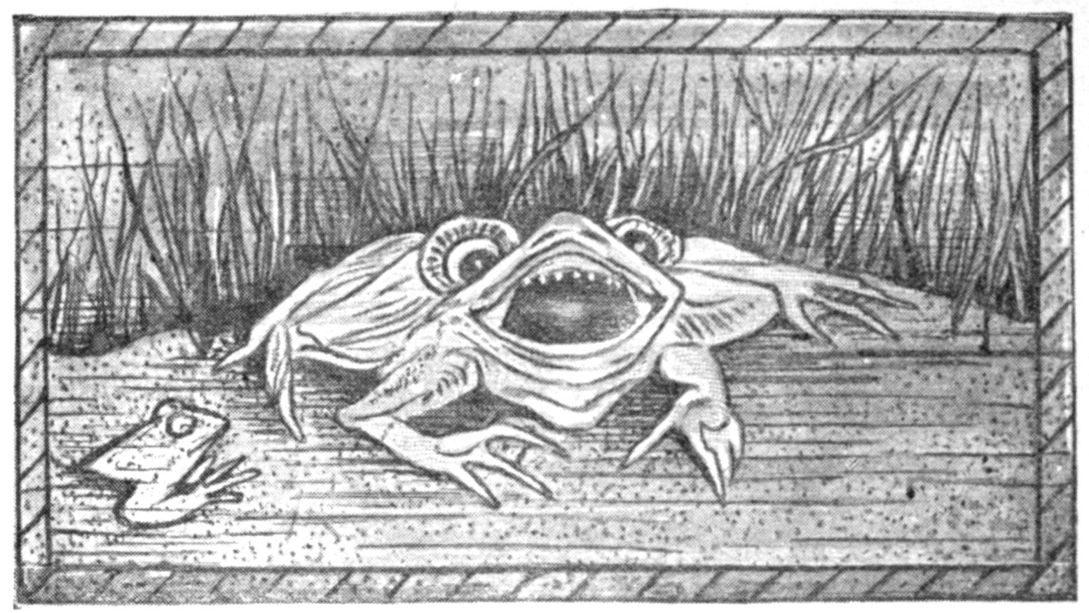 Black and white half-tone sketch of a large frog on a lily pad. The frog's mouth and eyes are wide open as he faces the viewer. A small frog in the lower left looks at the large frog.