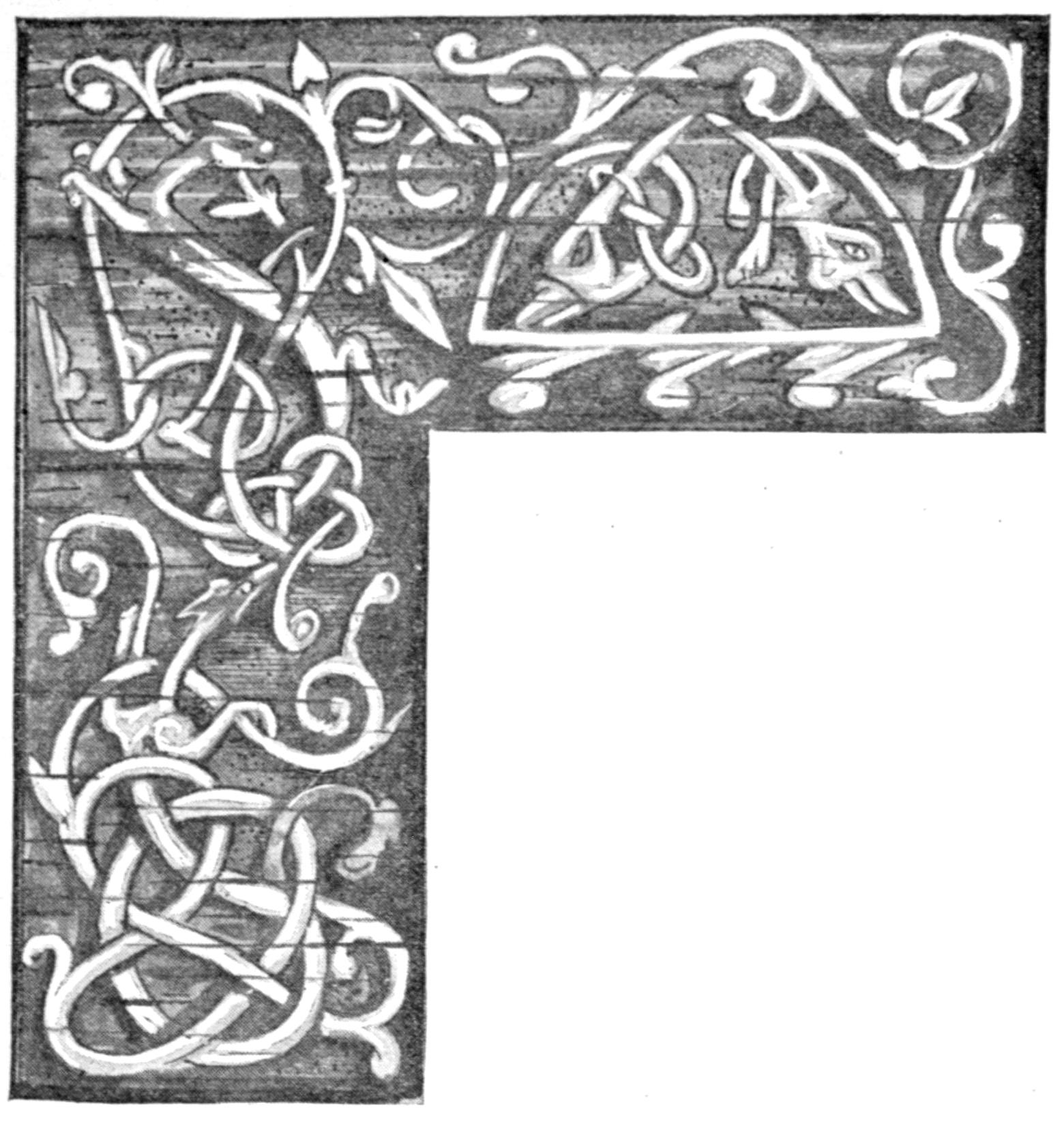  White line drawing on a black background. Vines intertwine through the image. At the right side, two vines end with heads of birds.