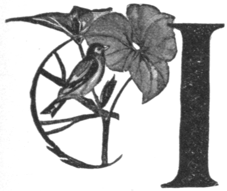 Half-tone black and white sketch of a vine with two leaves interwined with a branch. A scarlet tanager sits on the branch. To the right is a large letter I. This sketch is used as an illustrated capital letter to the beginning of the poem.