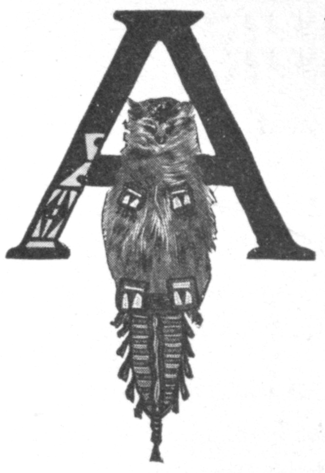 Half-tone black and white sketch of a racoon bound and decorated with Indian beadwork. It is suspended from the crossbar of a letter A. This sketch is used as an illustrated capital letter to the beginning of the poem.