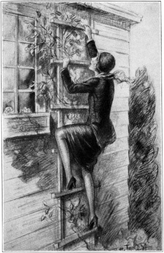 Nancy in fancy dress, climbing a trellis