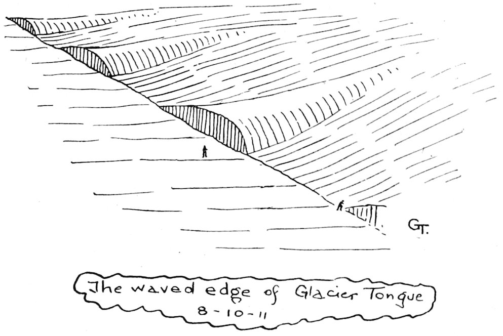 The waved edge of Glacier Tongue 8–10–11