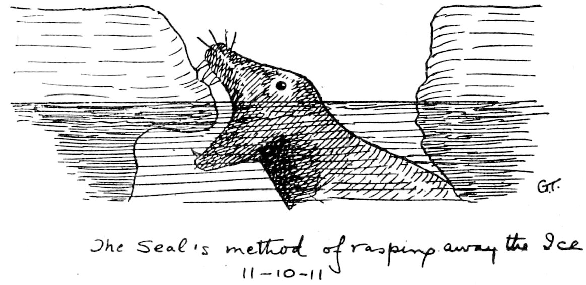 The Seal’s method of rasping away the Ice 11–10–11