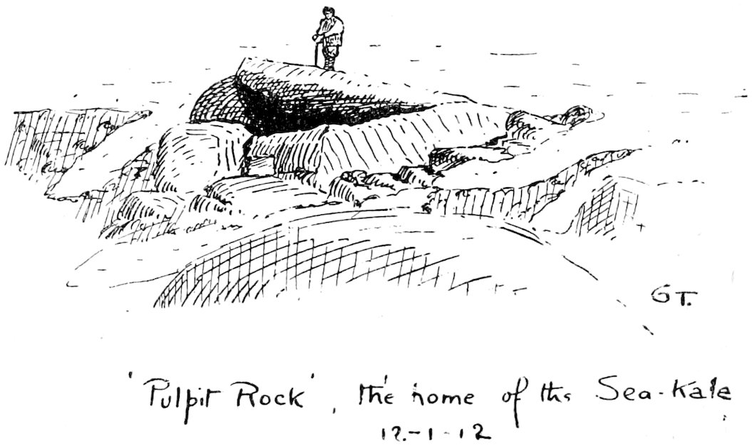 ‘Pulpit Rock’, the home of the Sea-Kale 17–1.12