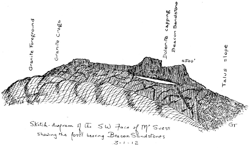 Sketch-diagram of the SW Face of Mt Suess showing the fossil-bearing Beacon Sandstones 3–1–12