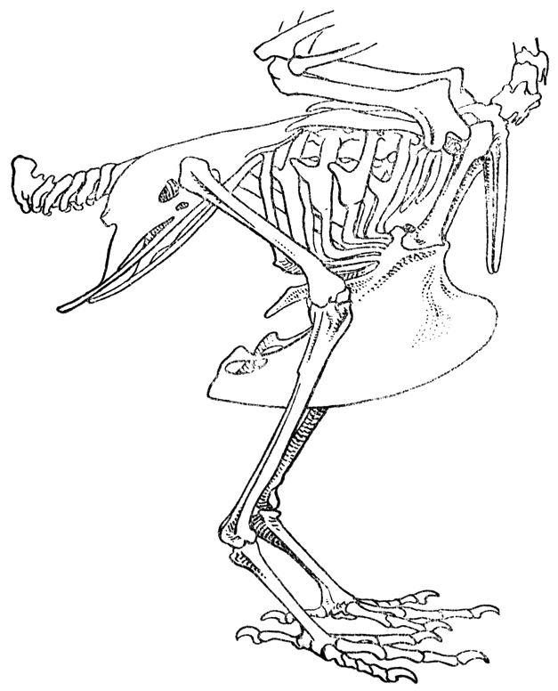 fig. 3a