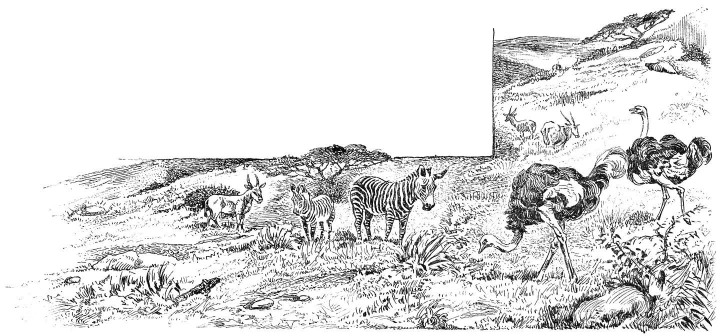 Struisen in gezelschap van antilopen en zebra’s in Afrikaansche steppe.