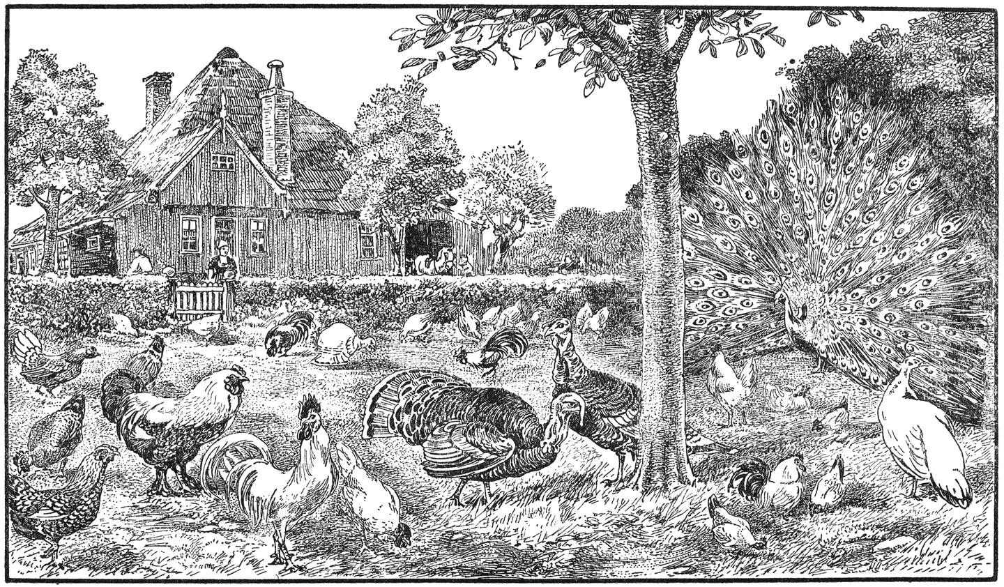 Hoenderhof.