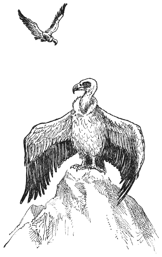 Gieren.