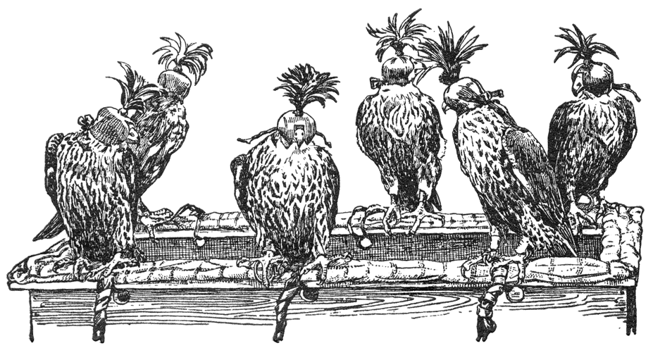 Jachtvalken.