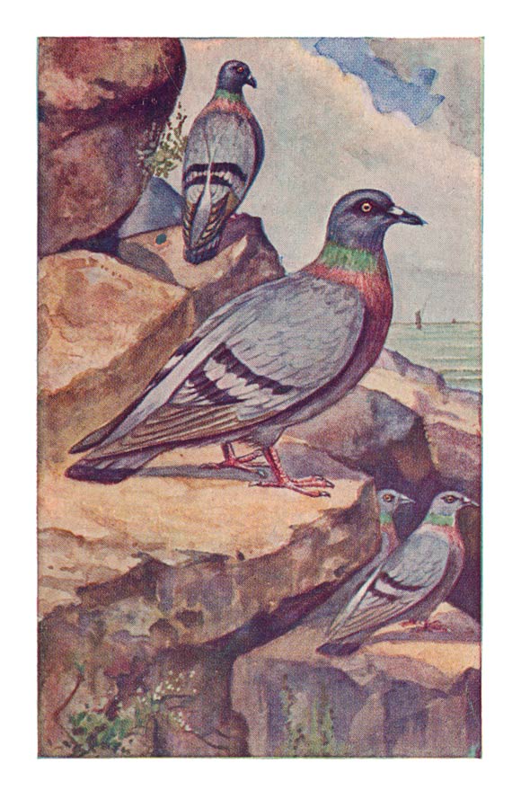 52