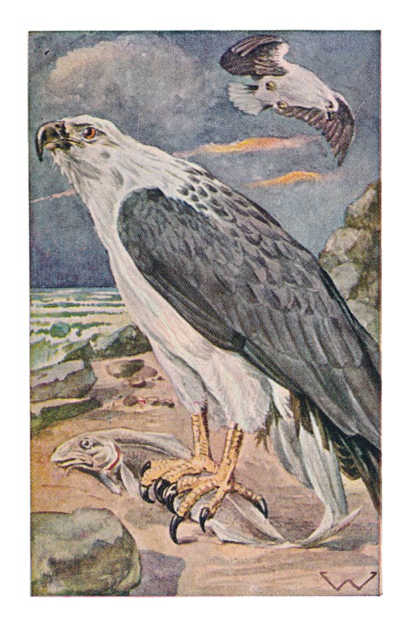 58