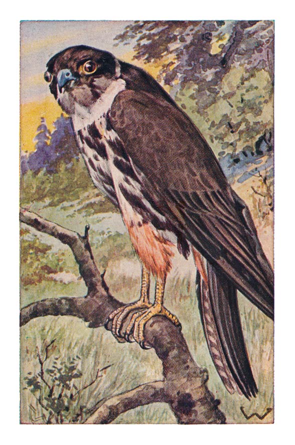 59