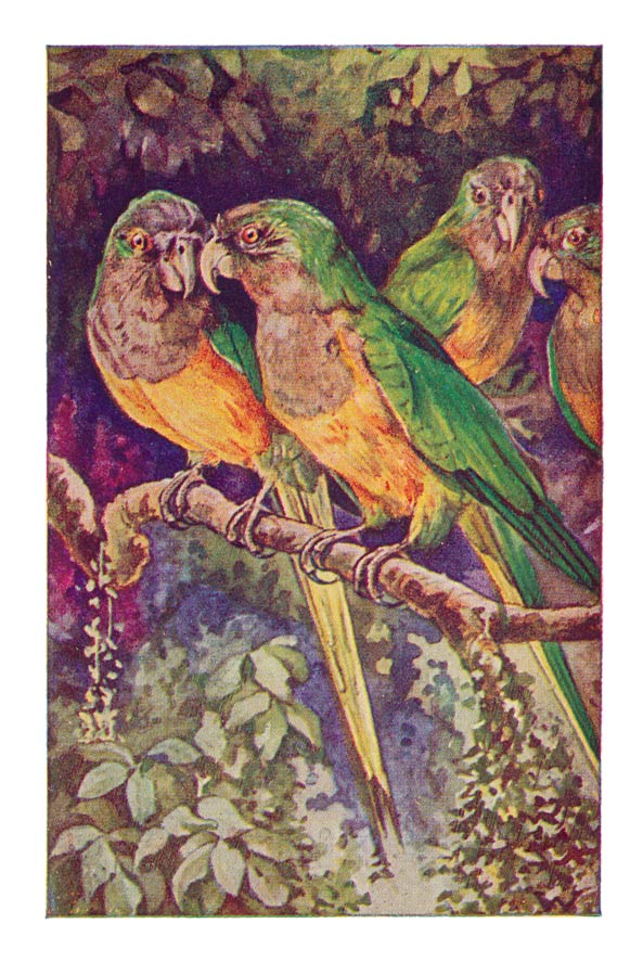 66
