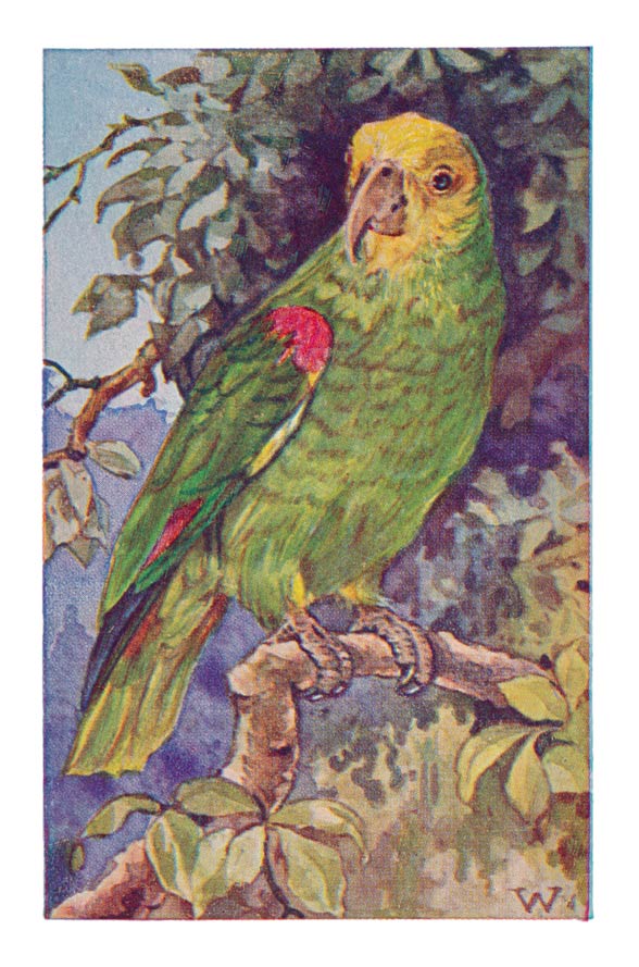 67