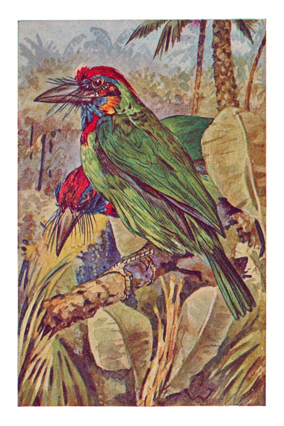74