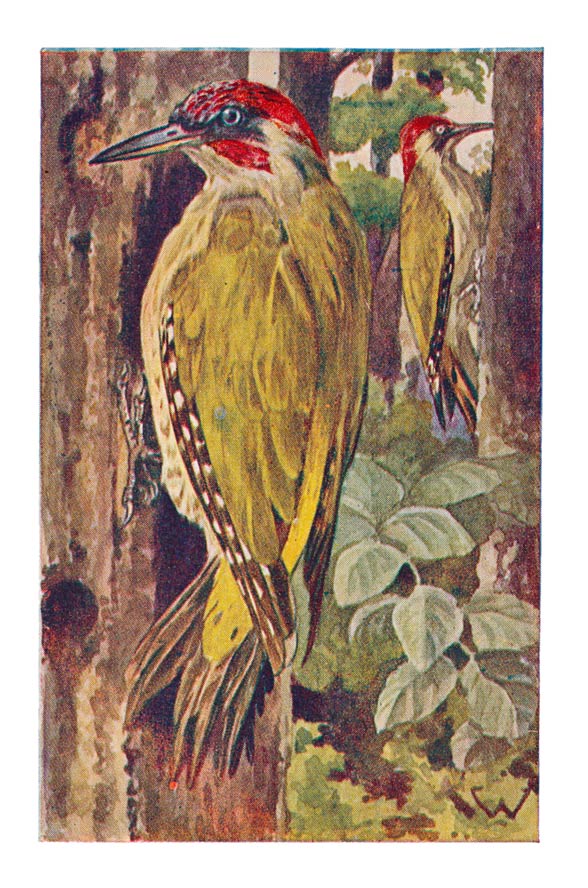 76