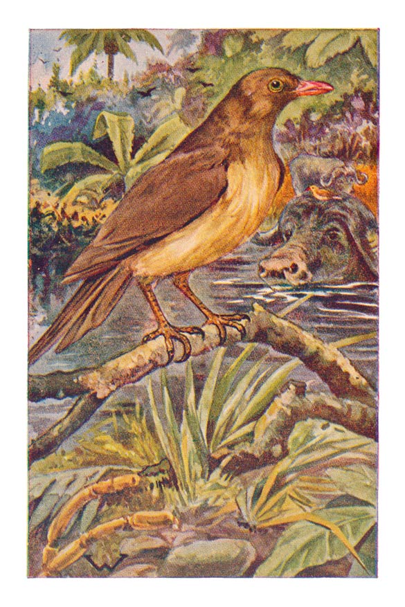107