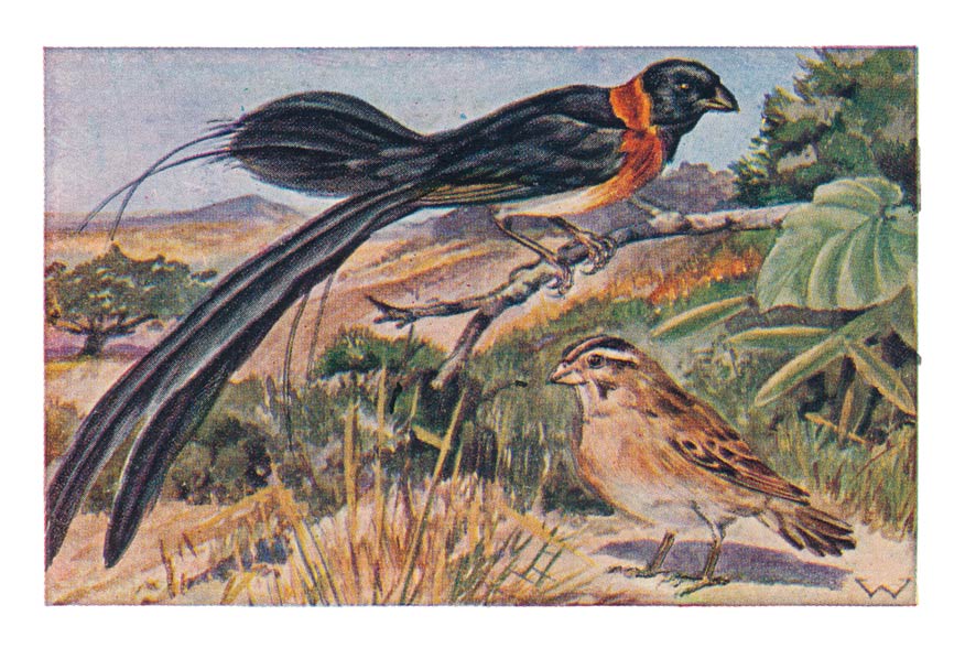115
