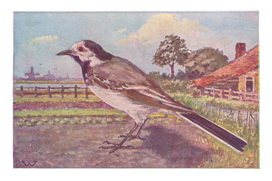 126