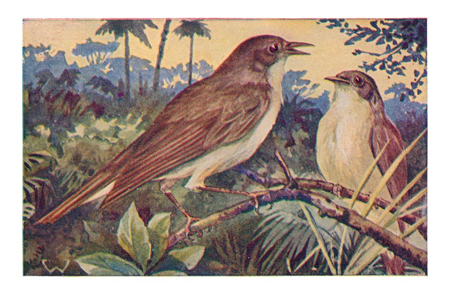 129