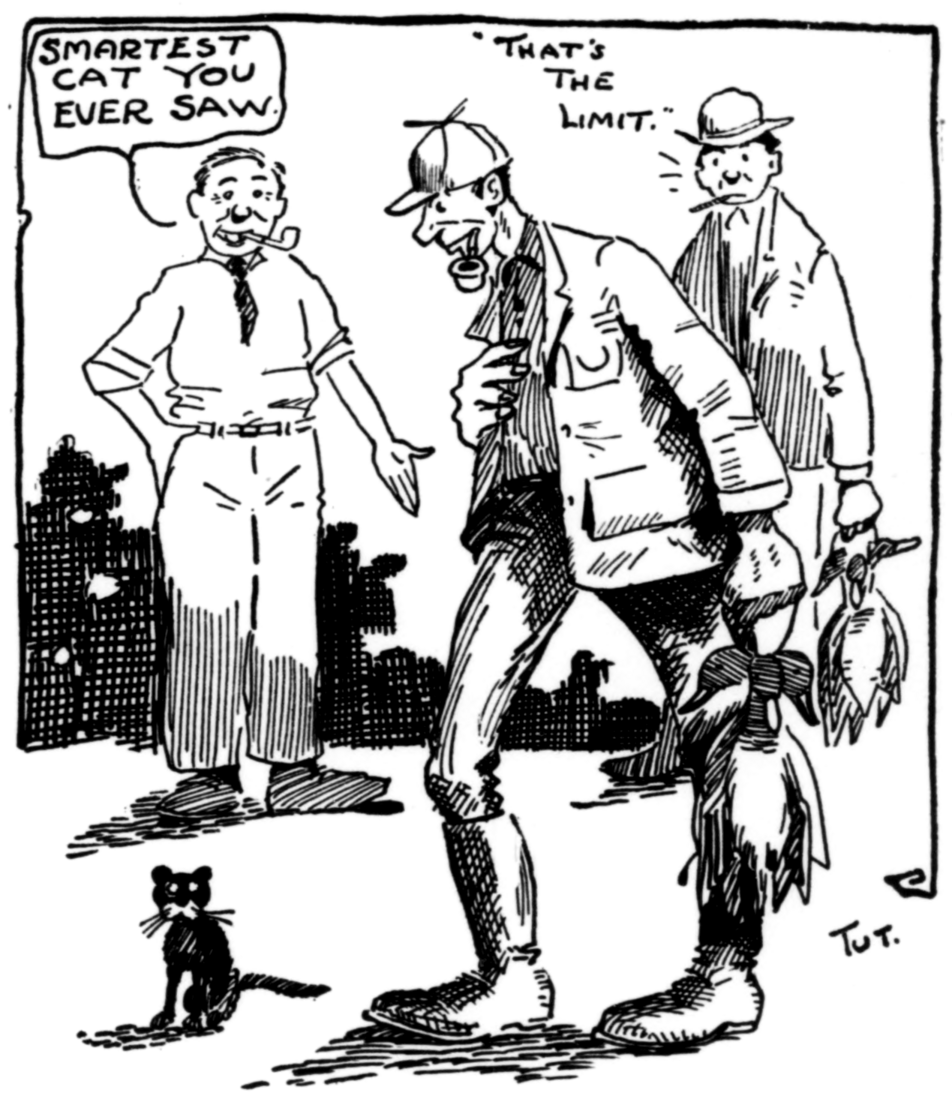 men looking at a scrawny cat