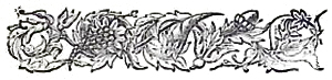 image026