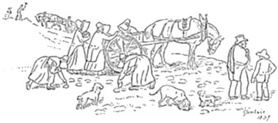 It depicts a harvest scene — figures gathering crops in a field, a horse-drawn cart, dogs, and onlooking men in top hats.