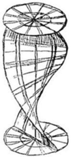 A geometric line drawing depicting a twisted, hourglass-like surface with two circular disks at top and bottom connected by curving, hyperboloid-shaped lines that spiral around a narrow waist in the middle.