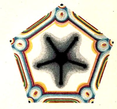 A colorful pentagonal diagram featuring a dark, star-shaped silhouette at the center surrounded by a white background, framed by a decorative pentagon-shaped border with repeating circular medallions and striped patterns in red, orange, blue, and green.
