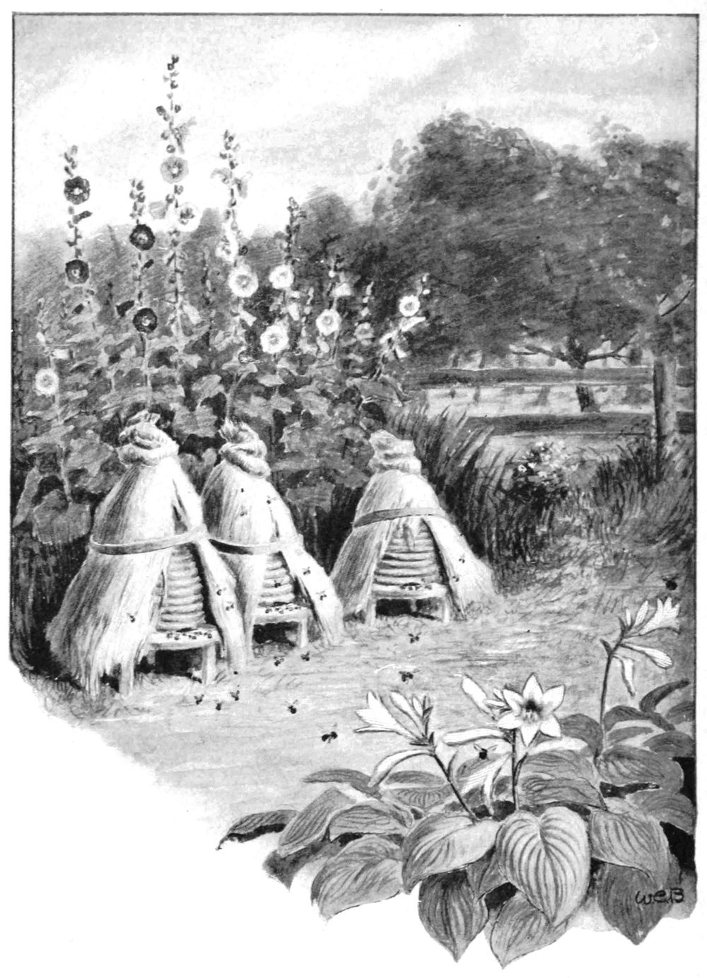 Old-fashioned beehives made of inverted baskets, and covered with grass on top. They are sitting in a flower garden, with a fence and trees behind them.