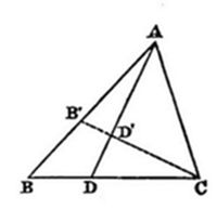 A bold triangle with vertices A (top right), B (bottom left), C (bottom right). Cevian AD drops from A to point D on base BC. Interior point B' lies on AB and D' lies near the center, connected by a dashed line from B' to D'.