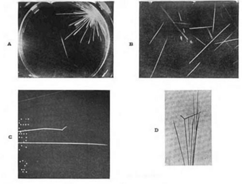 Four-panel plate (A–D) of cloud chamber photos showing particle tracks: (A) radiating burst from a point; (B) scattered straight tracks; (C) a track with a kink, plus dotted patterns; (D) tracks converging from a point, in lighter tone.