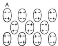 A diagram labeled A showing a grid of oval shapes, each divided into a + (positive) half and a − (negative) half, arranged in alternating orientations.