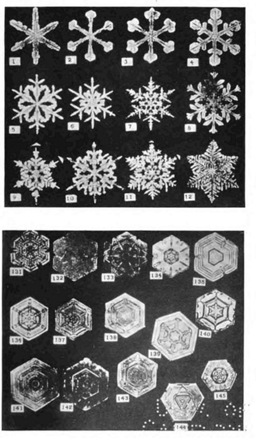 A two-part plate of snowflake photomicrographs: the top panel (1–12) shows classic branching, six-pointed feathery crystals; the bottom panel (131–145) shows hexagonal, plate-like faceted forms — together illustrating the range of snow crystal shapes.