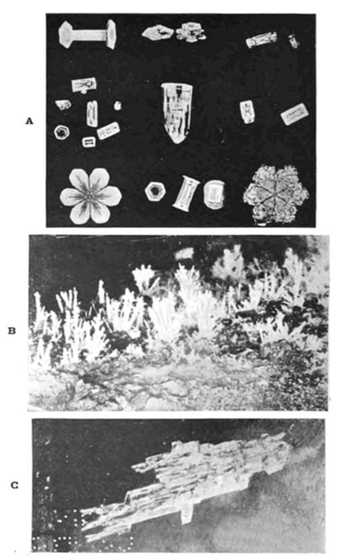A three-part plate of crystal forms: (A) varied small crystals including I-beam shapes, a flower-shaped rosette, hexagonal plates, and a star-shaped snowflake; (B) frost/ice crystals forming feathery, tree-like branching patterns; (C) a close-up of an elongated, flat, blade-like crystal.