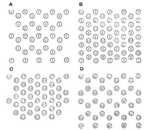A four-panel diagram (A–D) showing grids of circles containing small letters or symbols, arranged in slightly different patterns or orientations across each panel.