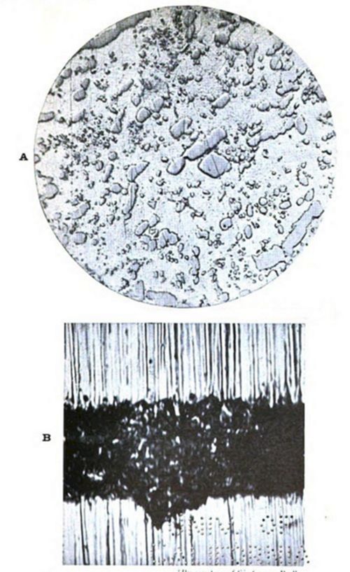 Two panels: (A) a circular micrograph showing scattered irregular gray shapes/particles (possibly precipitates or inclusions) on a light background; (B) a vertically-lined strip with a dark, irregular blotch in the middle.