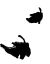 There are two black leaves. They look like they are floating in the air, one positioned above the other. other.