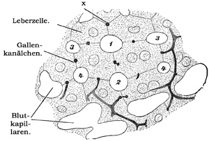 Fig. 262.