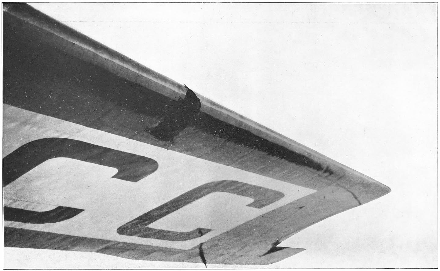 Afb. 33. Vleugelbeschadiging te Angora.