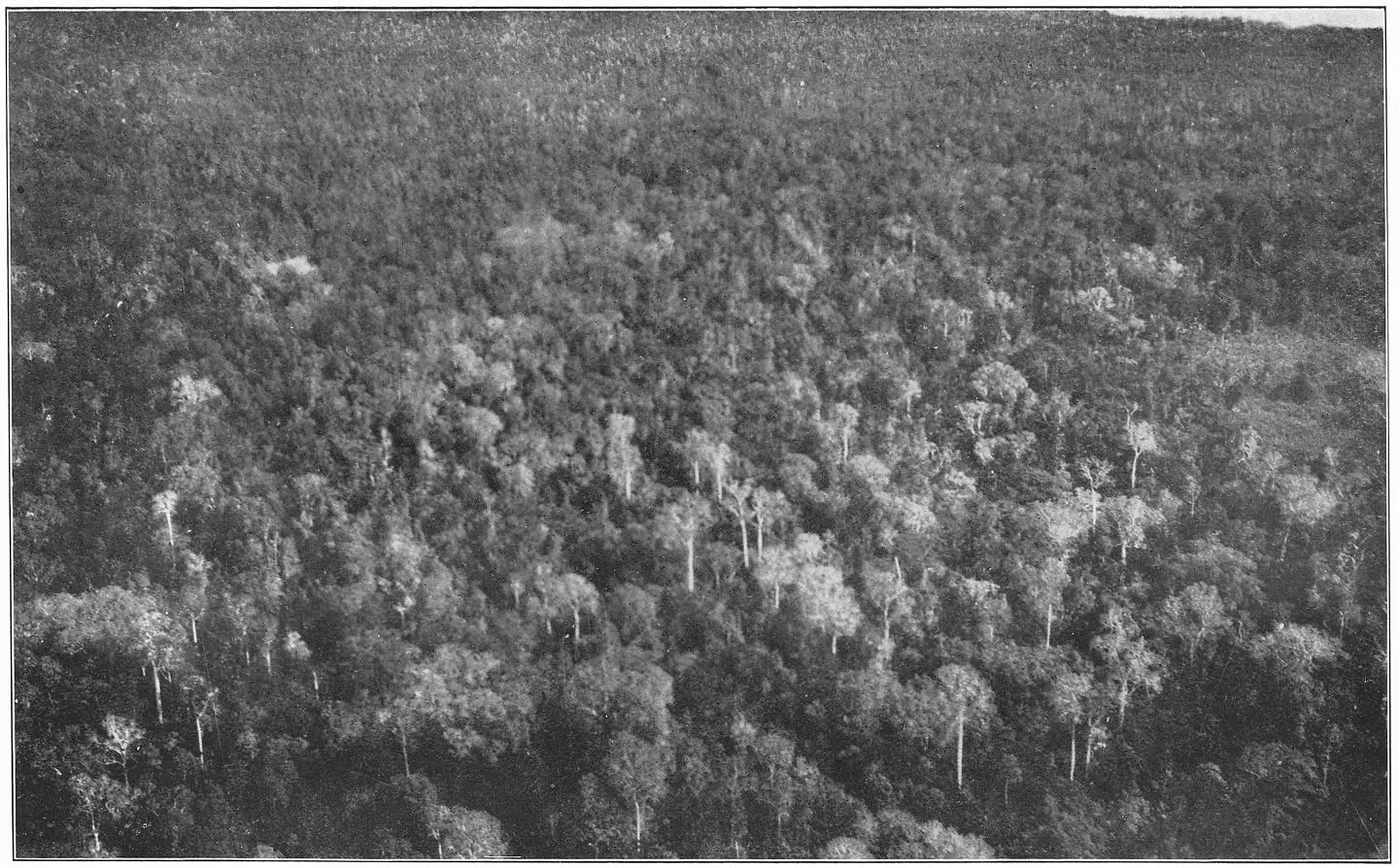 Afb. 94. Boven de oerwouden van Sumatra.