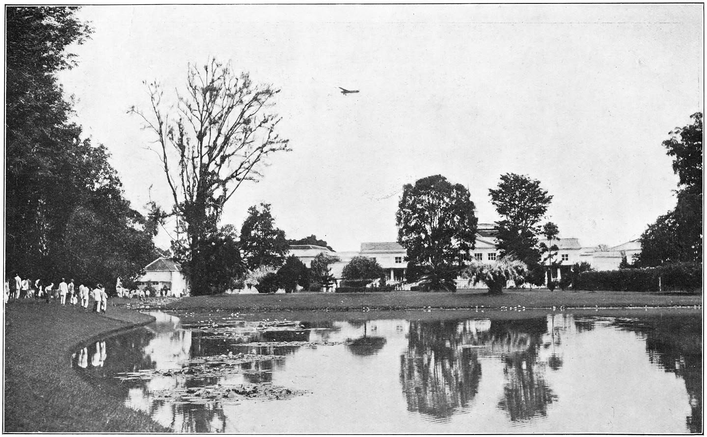 Afb. 108. Boven het paleis van den G. G. te Buitenzorg.