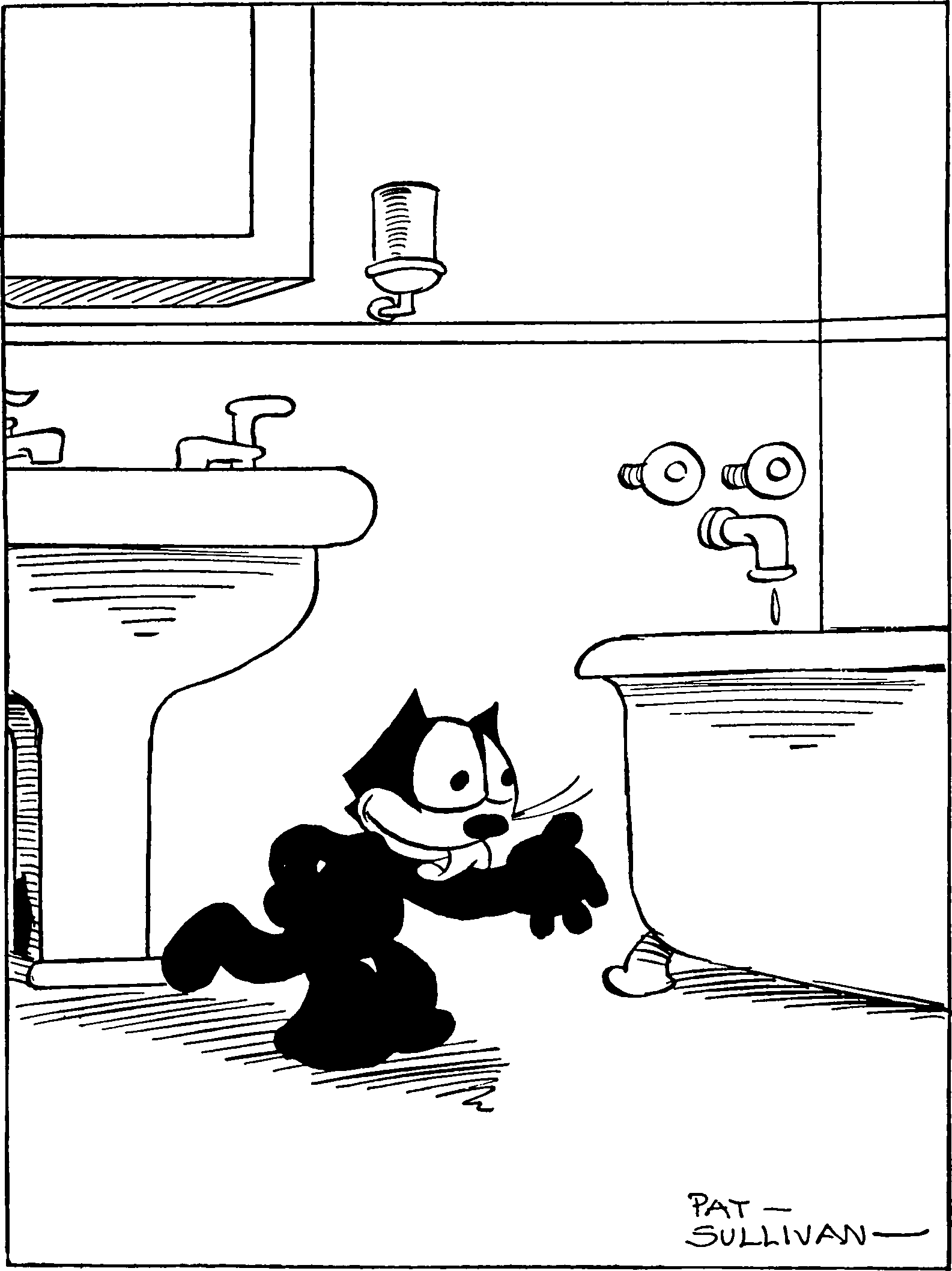 A cat licking itself clean