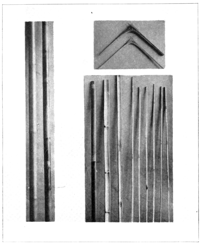 three photos