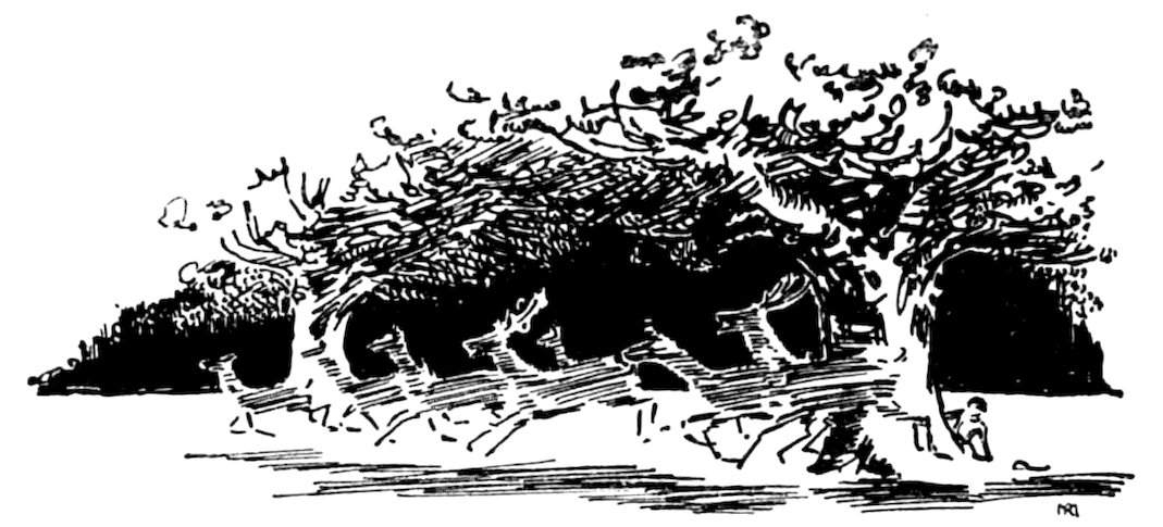 Black and white illustration of dense trees or a low hedge with a small figure seated underneath the foliage on the right.