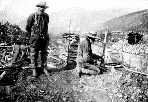 pardners